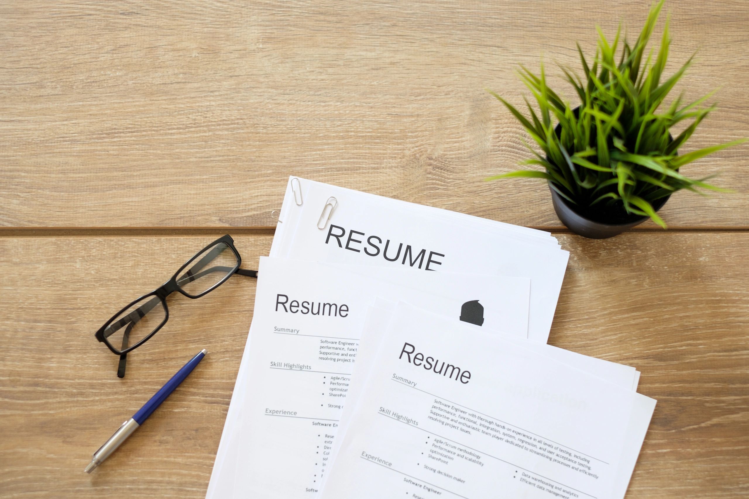 The Resume Genie Resume Writing, Resume Service, Resume